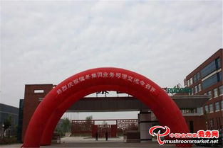 瑞冬集團成功舉辦業務經理交流會，以拳頭產品與核心研制能力引領行業新風向
